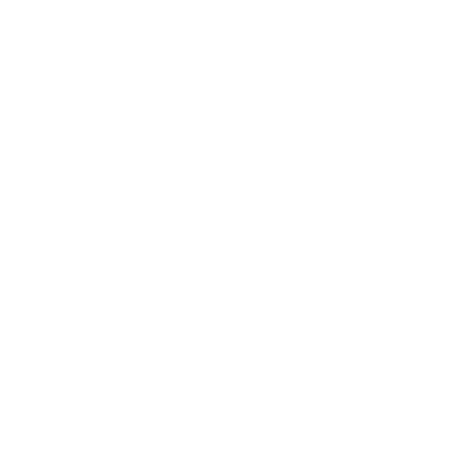 Logo miss