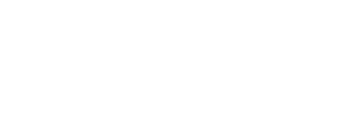 DIS Logo